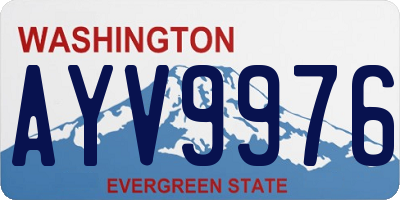 WA license plate AYV9976