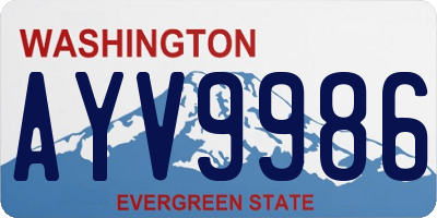 WA license plate AYV9986