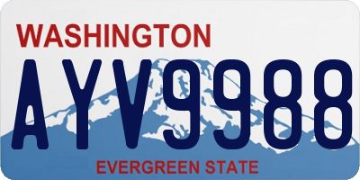 WA license plate AYV9988