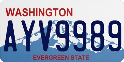 WA license plate AYV9989
