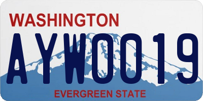 WA license plate AYW0019