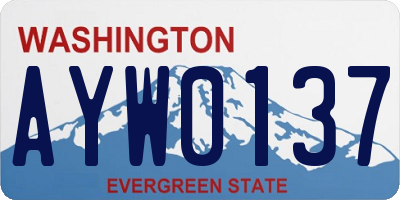 WA license plate AYW0137