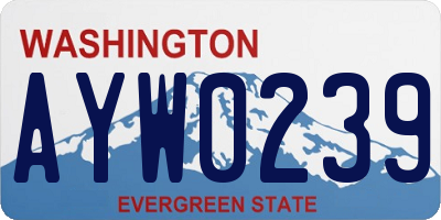 WA license plate AYW0239