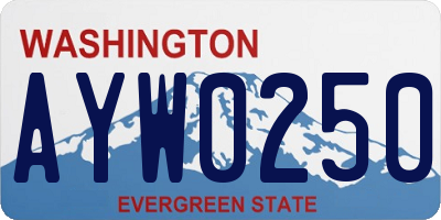 WA license plate AYW0250