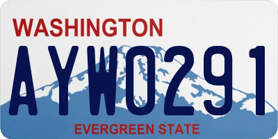 WA license plate AYW0291