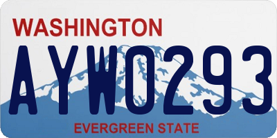 WA license plate AYW0293
