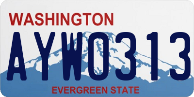 WA license plate AYW0313
