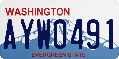 WA license plate AYW0491