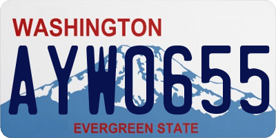 WA license plate AYW0655