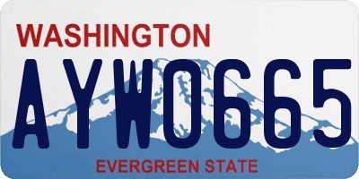 WA license plate AYW0665