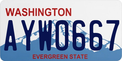 WA license plate AYW0667