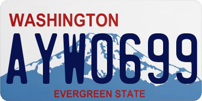 WA license plate AYW0699
