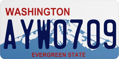 WA license plate AYW0709