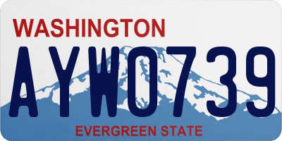 WA license plate AYW0739