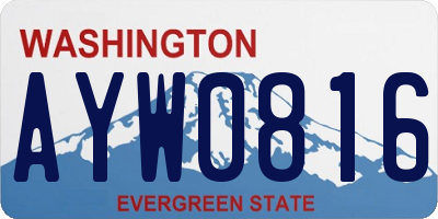 WA license plate AYW0816