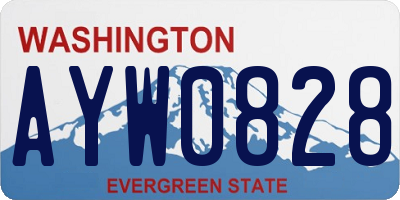 WA license plate AYW0828