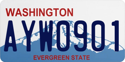 WA license plate AYW0901