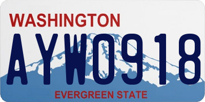 WA license plate AYW0918