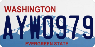 WA license plate AYW0979