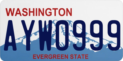 WA license plate AYW0999