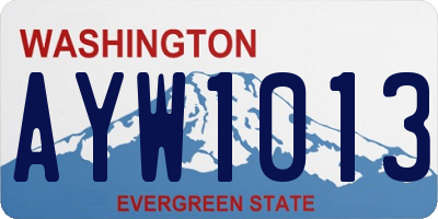 WA license plate AYW1013