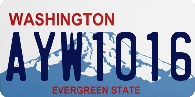 WA license plate AYW1016