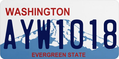 WA license plate AYW1018