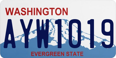 WA license plate AYW1019