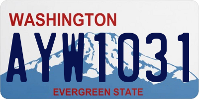 WA license plate AYW1031