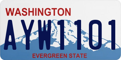 WA license plate AYW1101