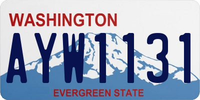 WA license plate AYW1131