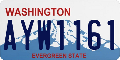 WA license plate AYW1161