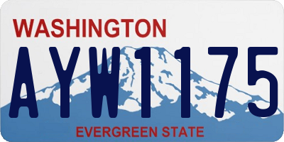 WA license plate AYW1175