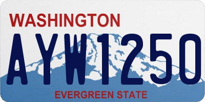 WA license plate AYW1250