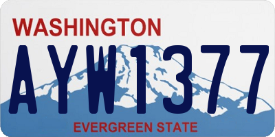 WA license plate AYW1377