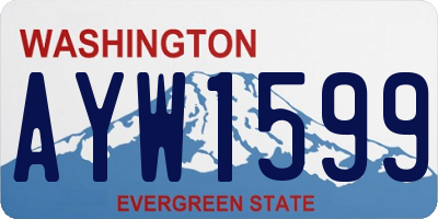 WA license plate AYW1599