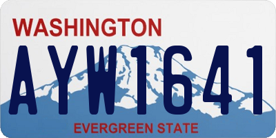 WA license plate AYW1641