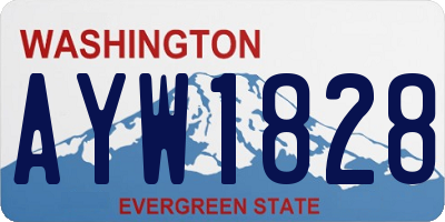 WA license plate AYW1828