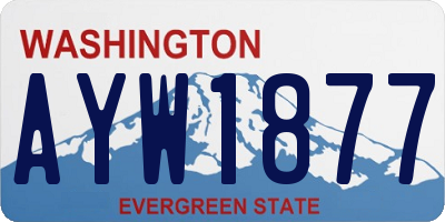 WA license plate AYW1877