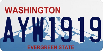 WA license plate AYW1919