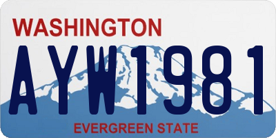 WA license plate AYW1981