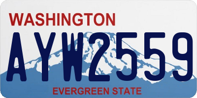 WA license plate AYW2559