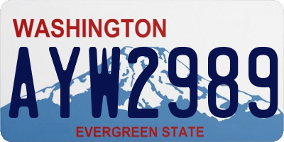 WA license plate AYW2989