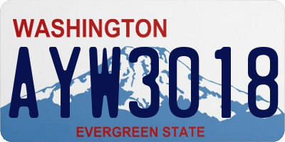 WA license plate AYW3018