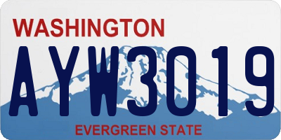 WA license plate AYW3019