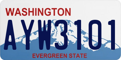 WA license plate AYW3101
