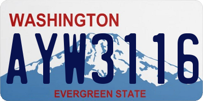 WA license plate AYW3116