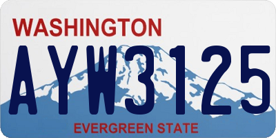 WA license plate AYW3125