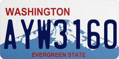 WA license plate AYW3160
