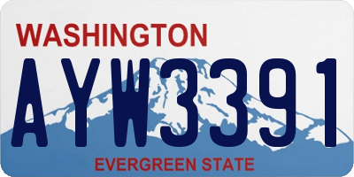 WA license plate AYW3391